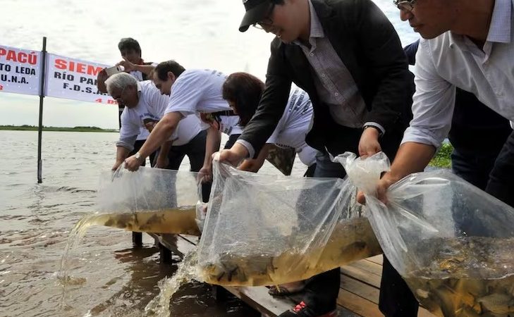 Japoneses buscan preservar 80 mil hectáreas destinadas a desarrollo sustentable, afirman