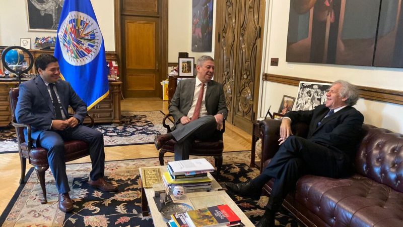 Ministro del TSJE mantuvo reunión protocolar con representante de la OEA