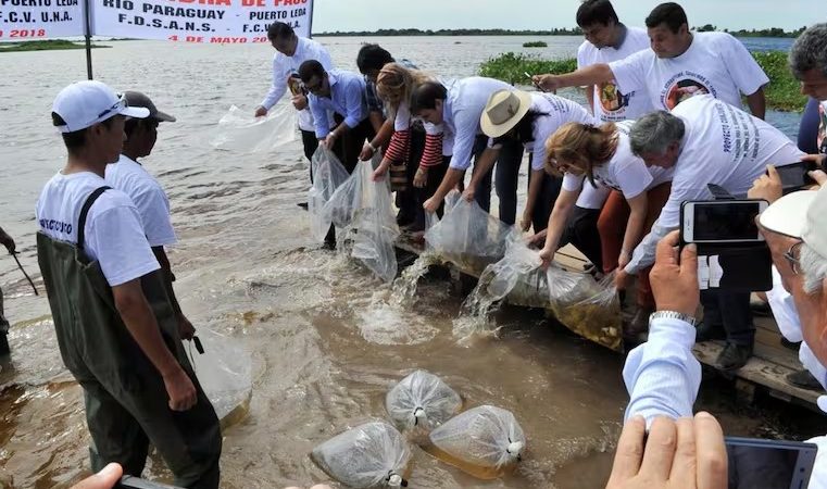 Fundación cuestiona riesgo de terminar con labor de 25 años de desarrollo y sustentabilidad