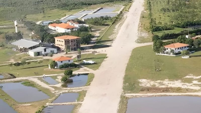 Fundación japonesa presenta acción de nulidad por sentencia en caso de tierras del Chaco