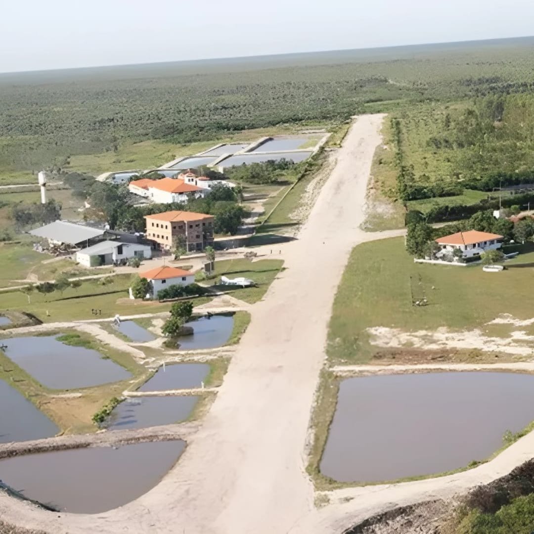 Fundación japonesa presenta acción de nulidad por sentencia en caso de tierras del Chaco