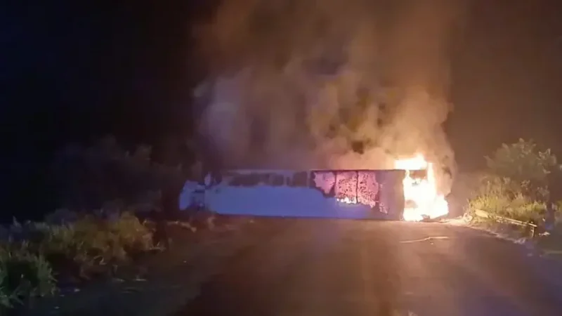 Chofer de camión frigorífico muere calcinado en Tacuatí