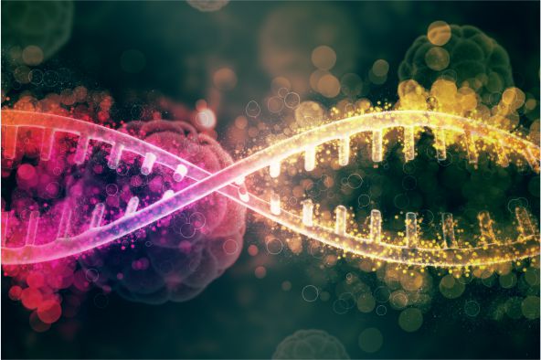 Descubrimientos en genética: el próximo paso hacia la erradicación de enfermedades hereditarias