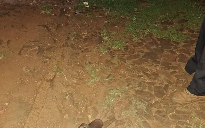 Mujer fue asesinada en Hernandarias