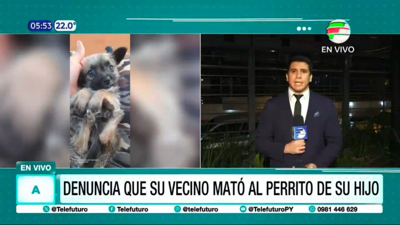 En las redes sociales piden justicia para Toto, el perro asesinado