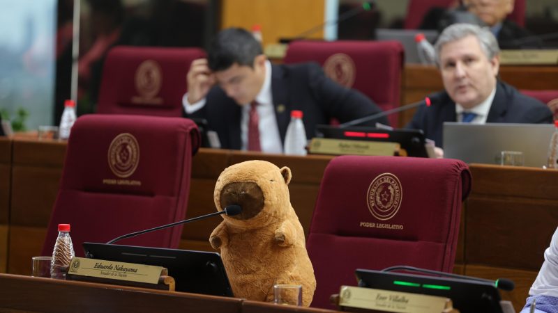 Peluche de carpincho causó furor en el Congreso