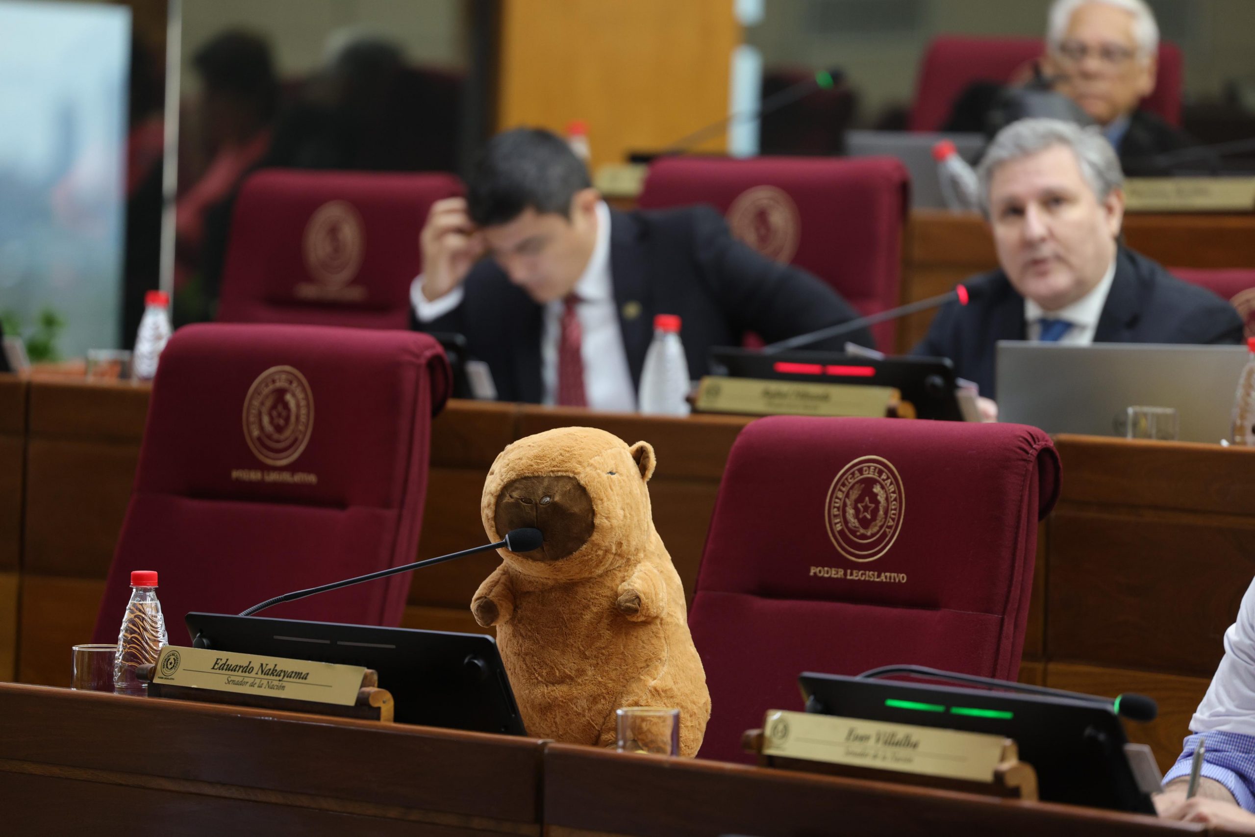 Peluche de carpincho causó furor en el Congreso