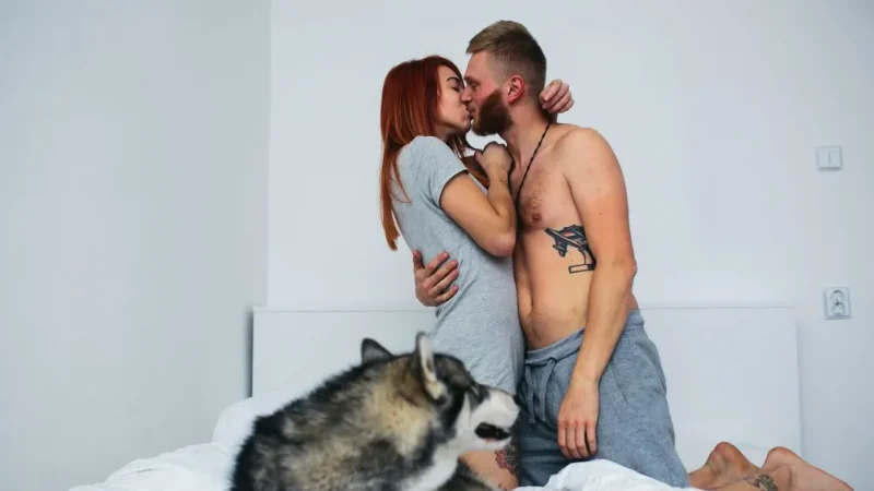 ¿Mascotas pueden arruinar la vida sexual de una pareja?