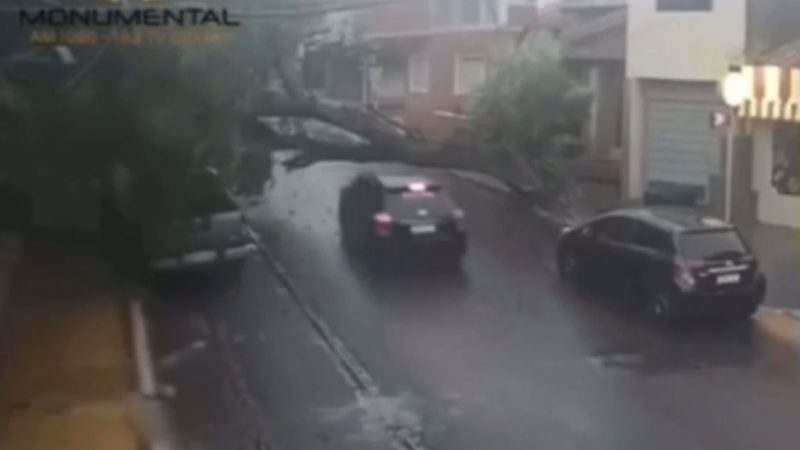 ¡Qué loco! Expectativa y realidad con la tormenta en Paraguay