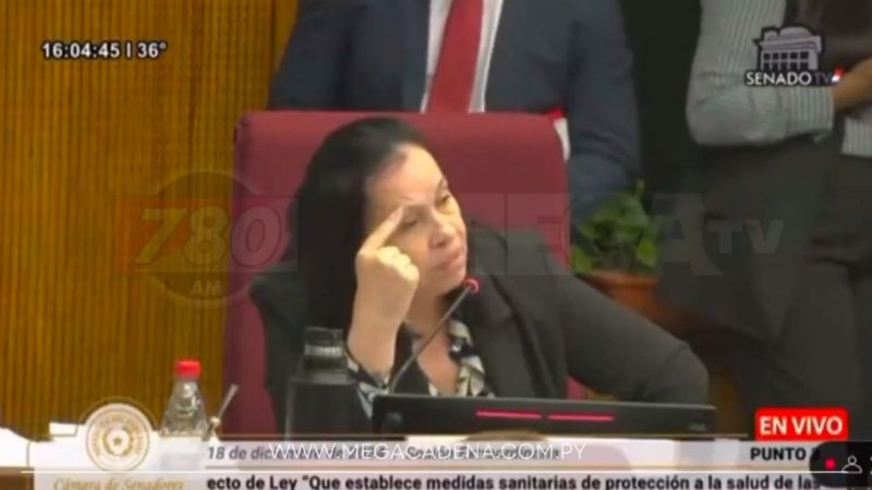 Tenso cruce entre los senadores Luis Pettengill y Yolanda Paredes