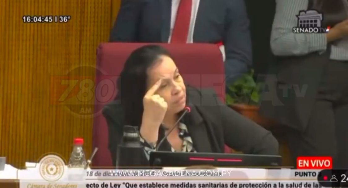 Tenso cruce entre los senadores Luis Pettengill y Yolanda Paredes