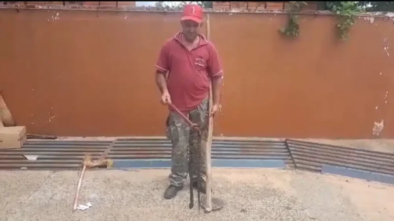 Hombre fue mordido por una serpiente en Canindeyú