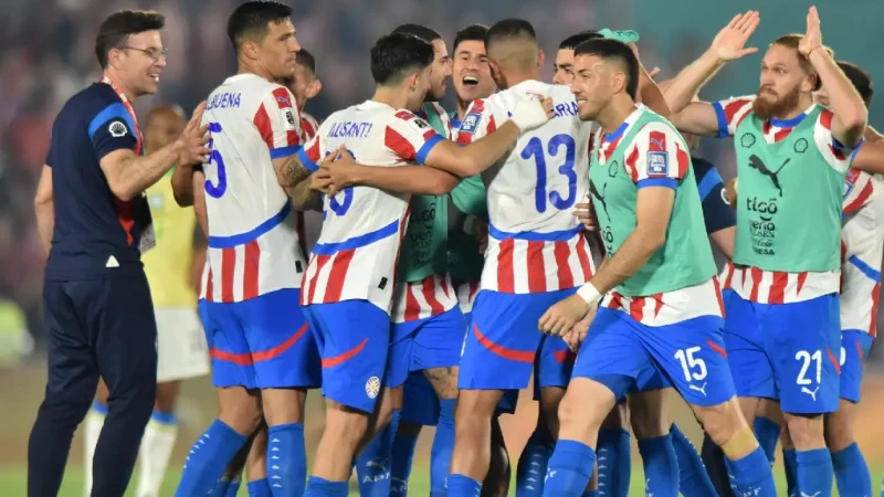 Habilitados los combos para los tres partidos de la Albirroja para el año que viene