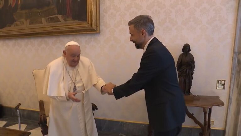 El papa Francisco apareció con cabestrillo tras caída en su casa