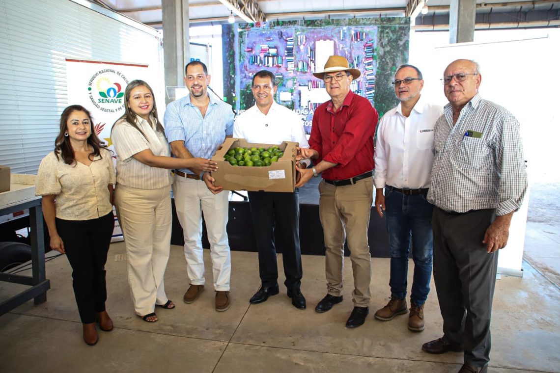 Paraguay abre nuevas puertas al mercado internacional con la exportación de limón tahití