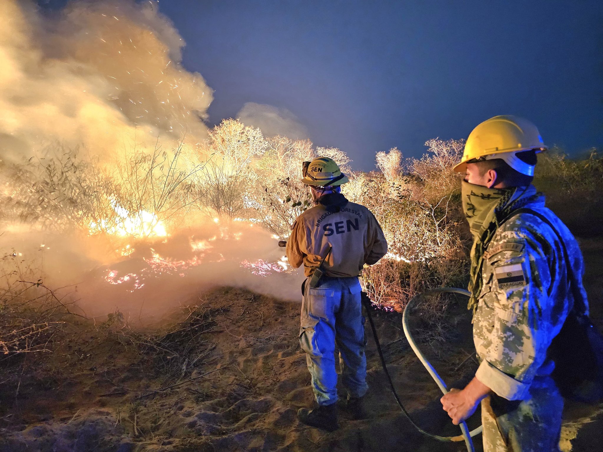 65.000 hectáreas consumidas por incendios en lo que va del año, según Infona