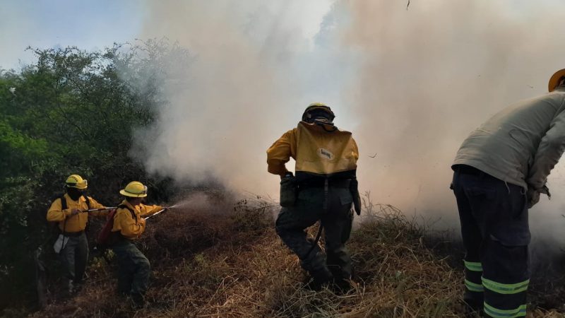 Principio de incendio en la ruta Luque-San Bernardino movilizó a bomberos 