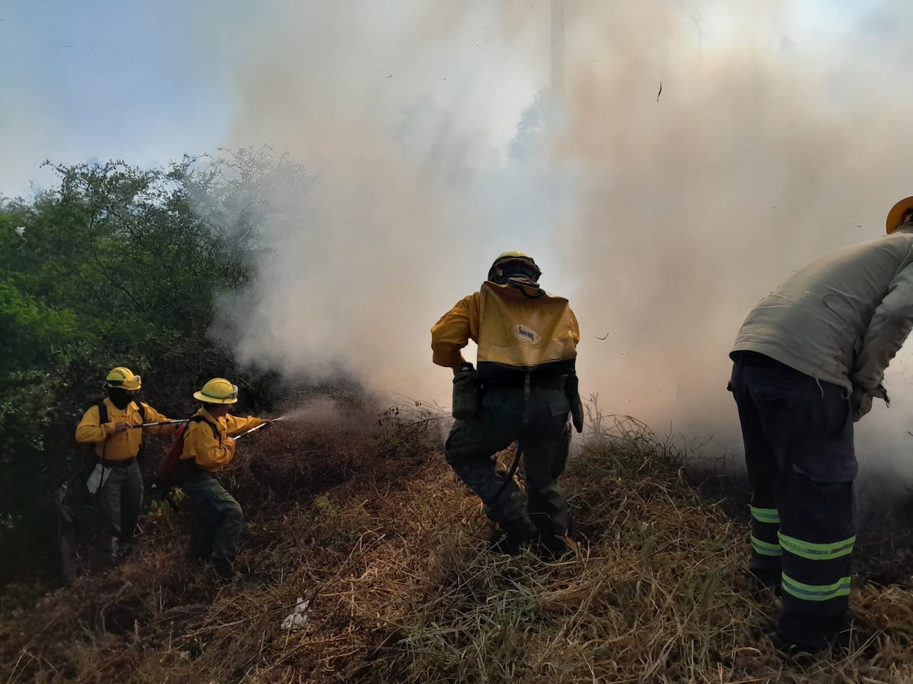 Principio de incendio en la ruta Luque-San Bernardino movilizó a bomberos 