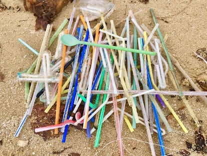 Reforzarán controles para hacer cumplir la ordenanza sobre pajitas plásticas