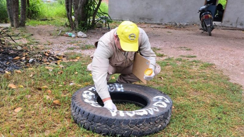 SENEPA realiza jornada de eliminación de criaderos de mosquitos