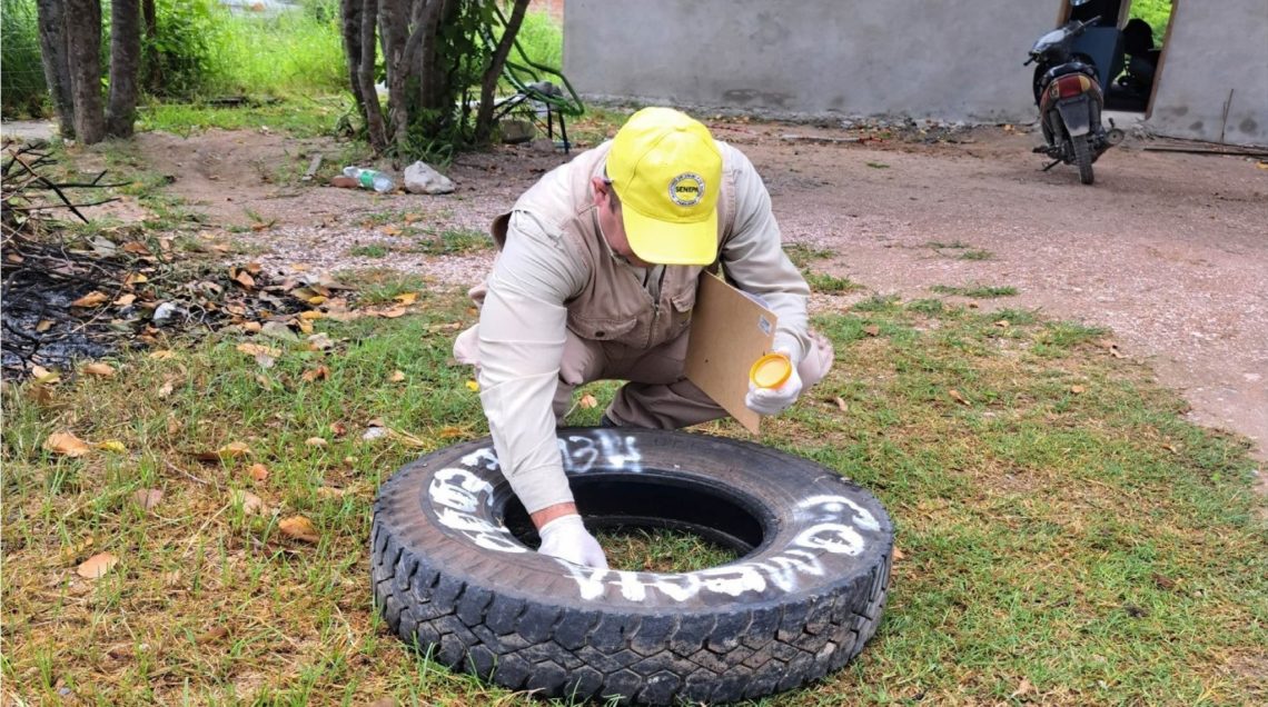 SENEPA realiza jornada de eliminación de criaderos de mosquitos