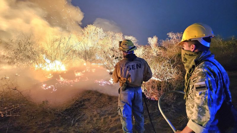 Más de 65 mil hectáreas fueron afectadas por los incendios, según el Infona