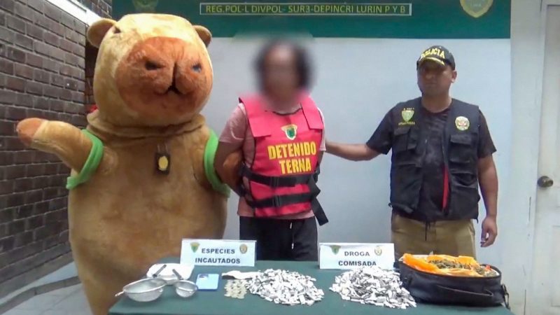 El ‘capibara del amor’ detiene a un narco con un alijo de drogas en Perú