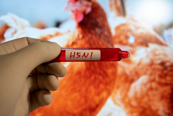 SENACSA emite alerta sanitaria tras detectarse caso de influenza aviar en Argentina