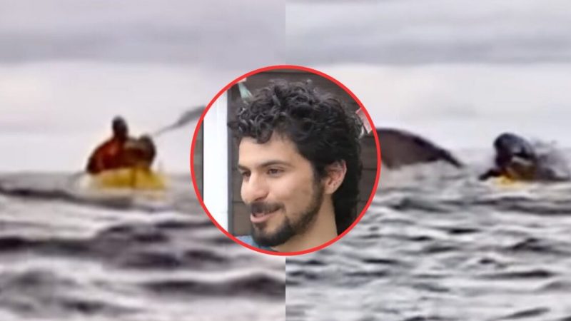 Joven que fue tragado por una ballena en Chile relató su aterradora experiencia