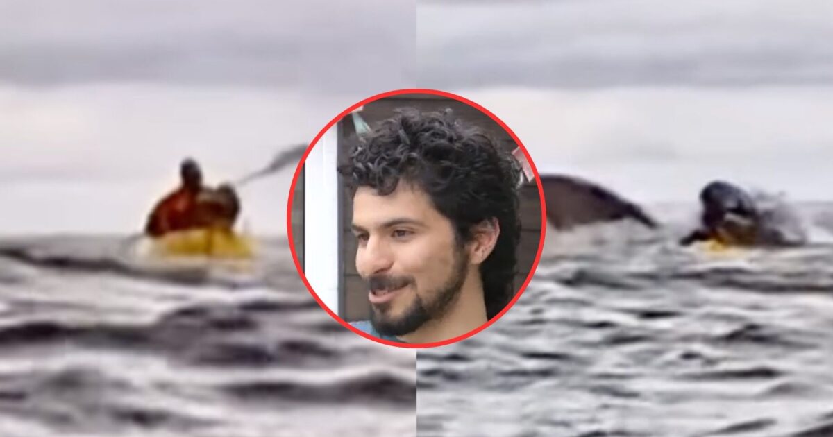 Joven que fue tragado por una ballena en Chile relató su aterradora experiencia