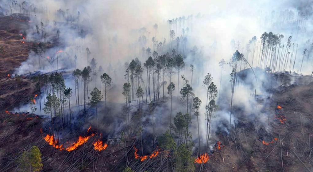 «Los incendios forestales siguen, pero los tenemos muy normalizados», advierte la presidenta del INFONA