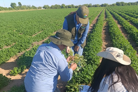 Buscan mayor fortalecimiento de la producción agropecuaria con la campaña “Estamos con el campo“