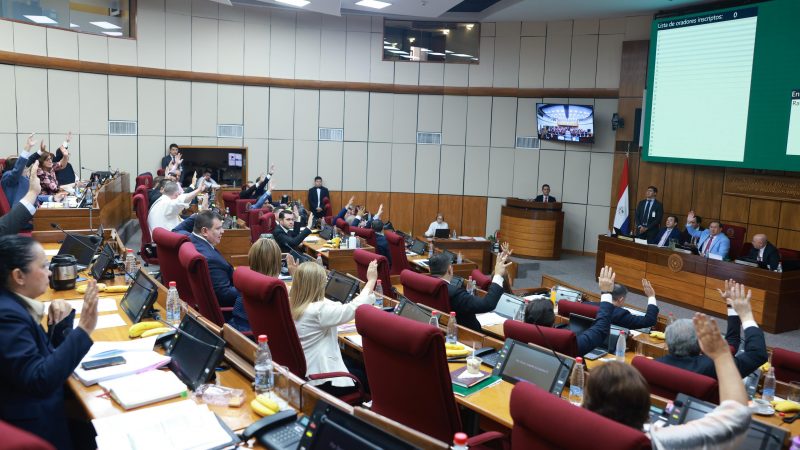Senadores piden informes sobre ingreso del hijo de «Yamy Nal» al INE y anuncian denuncia penal