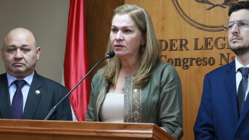 Ministra de Salud dio la cara ante el Senado sobre terapia intensiva fallida en Villarrica