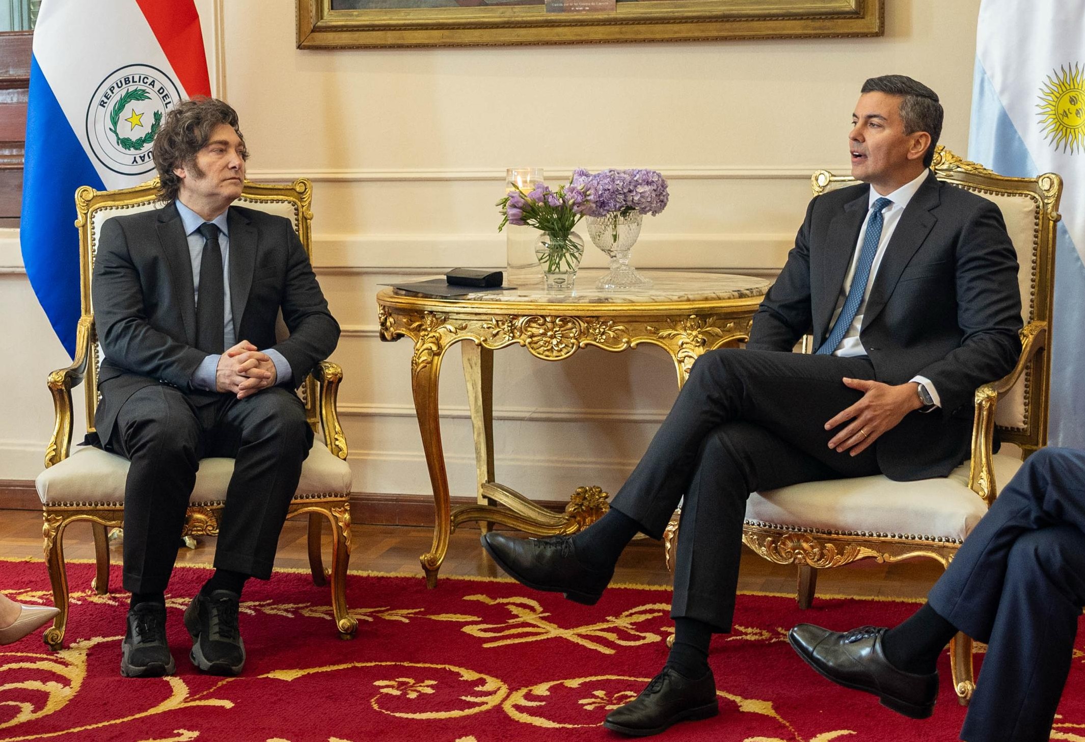 Tras días de especulación, revelan uno de los verdaderos motivos del encuentro Peña–Milei: redefinir la tarifa de Yacyretá