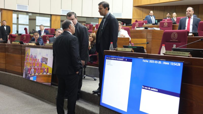 Choque de senadores por la ANR: Ovelar quiere enfrentar a Afara por la presidencia