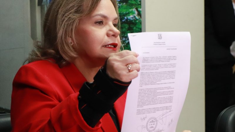 “Abandonan el Este y quieren imponer un modelo de familia”: Lilian Samaniego arremete contra el Gobierno