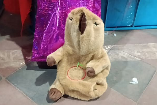 Dentro de un peluche de capibara, SENAD detectó cocaína, éxtasis y LSD