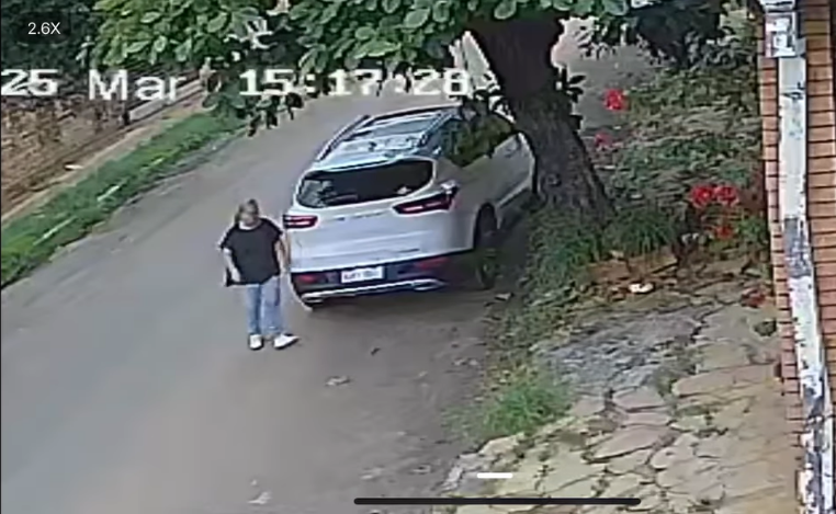 ¿Payé en Semana Santa o falta de respeto?: Mujer dejó una cabeza de chancho podrida frente a la casa de un hombre