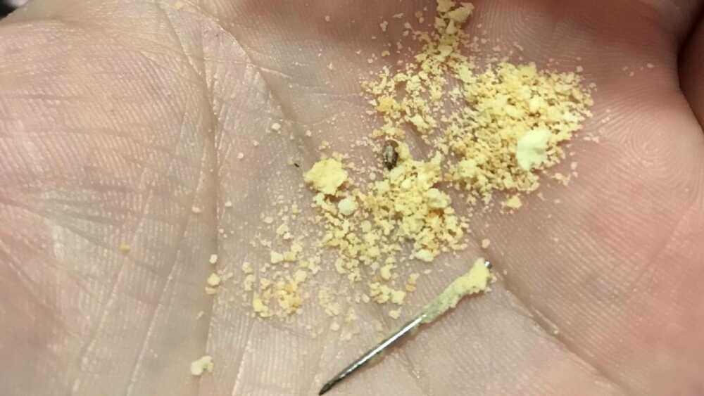 Denuncia de chipa con alfiler en merienda escolar: CONAE activa protocolo de emergencia