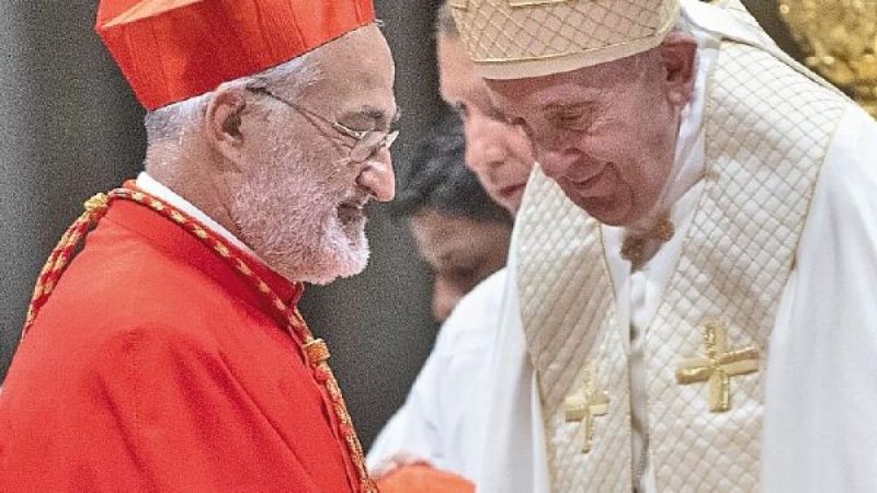 “Hay que estar loco para desear la responsabilidad de ser papa”, reflexiona cardenal