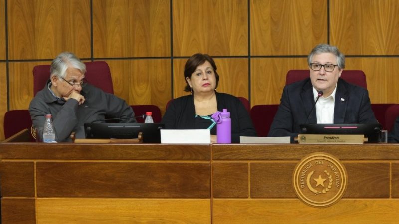 Magistrados en la mira: Senado exige investigación al Tribunal de Villarrica y al fiscal del caso de presunto acoso a niña de 11 años