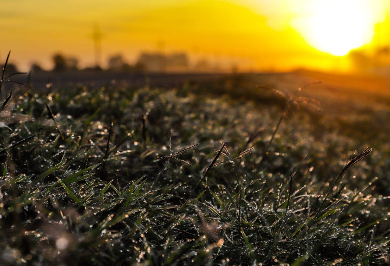 “Bomba Polar” en Sudamérica traerá un marcado descenso de las temperaturas