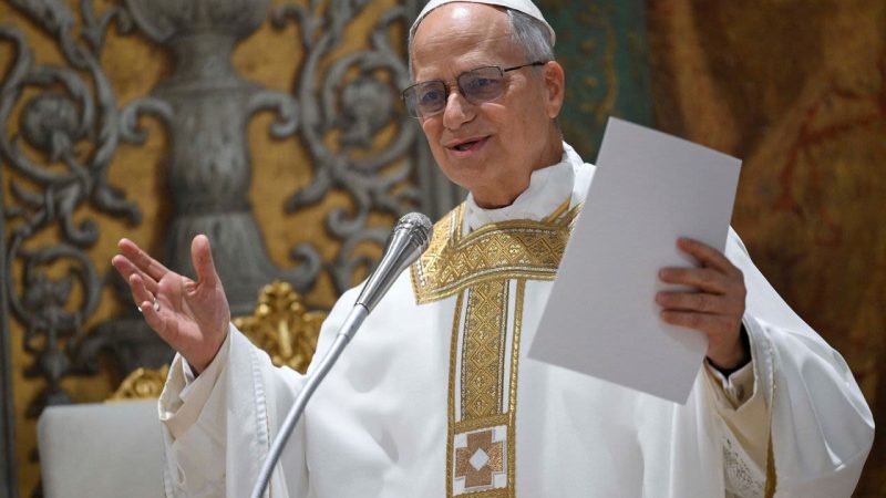Papa León XIV reafirma valores pro vida y pro familia: “La familia es la unión estable entre hombre y mujer”