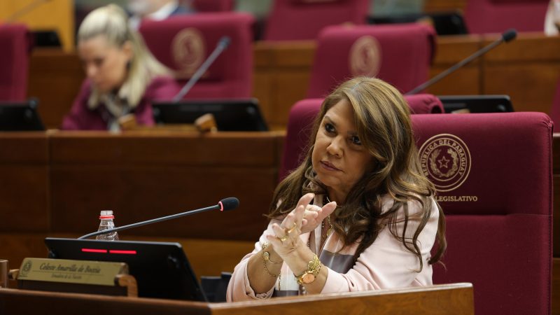 Celeste Amarilla apuntó que Santiago Peña es sobrepasado por cúpula de Honor Colorado