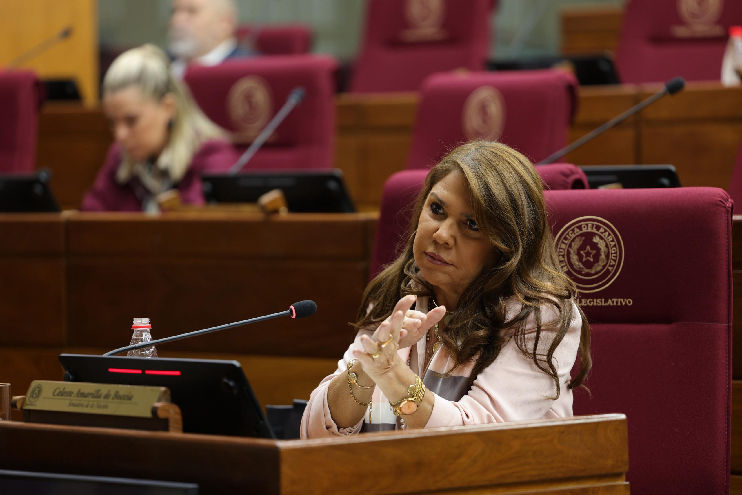 Celeste Amarilla apuntó que Santiago Peña es sobrepasado por cúpula de Honor Colorado