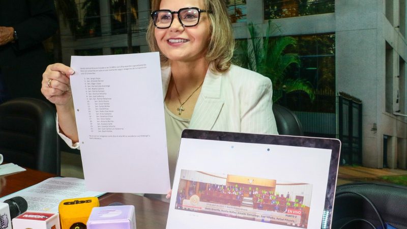 Juzgados especializados en violencia contra la mujer: “No hubo quórum cuando se aprobó la versión Diputados”, acusó senadora