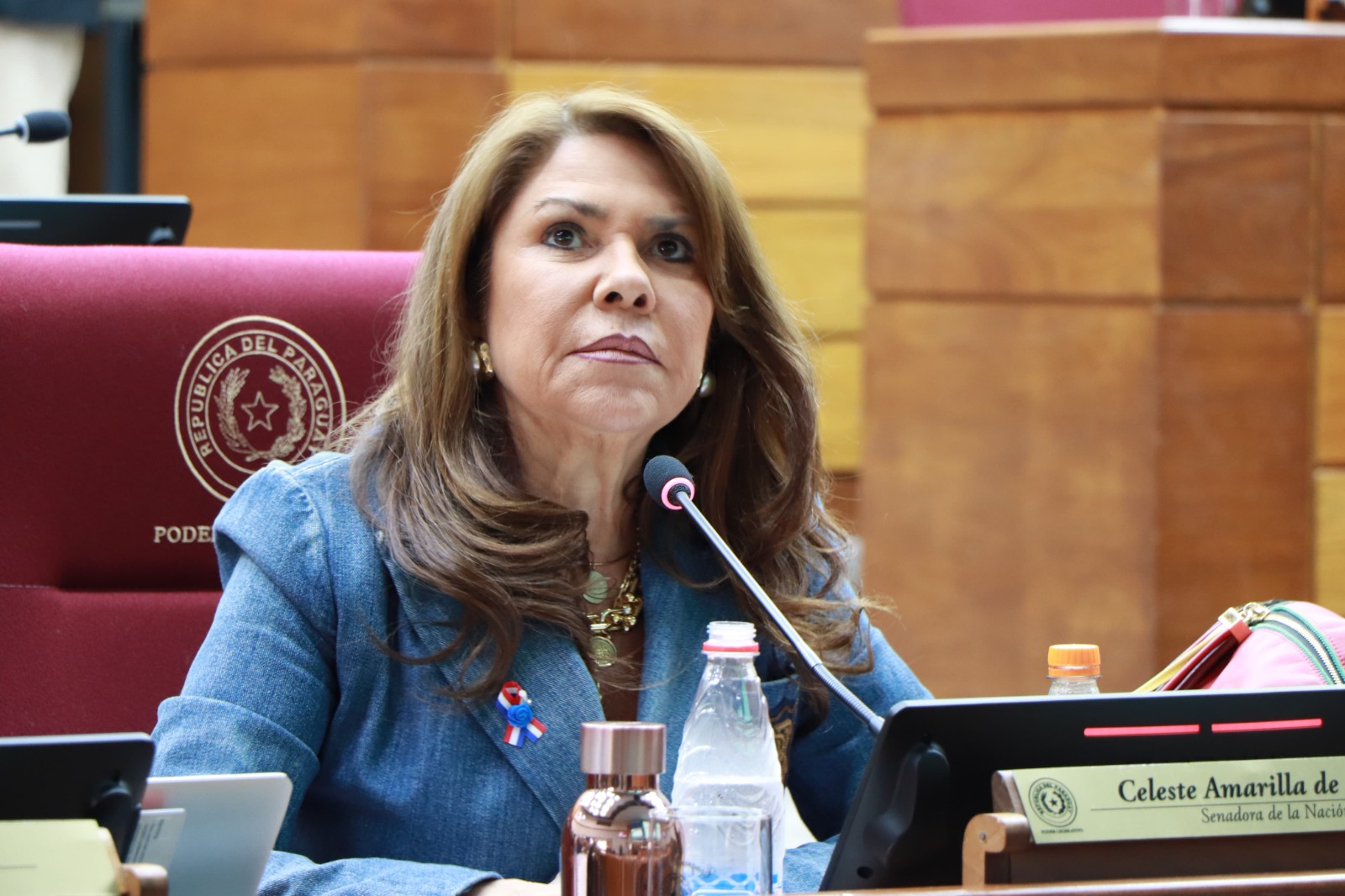 «Decisión vergonzosa»: Celeste Amarilla critica fallo de la Corte que restituye combustible a funcionarios