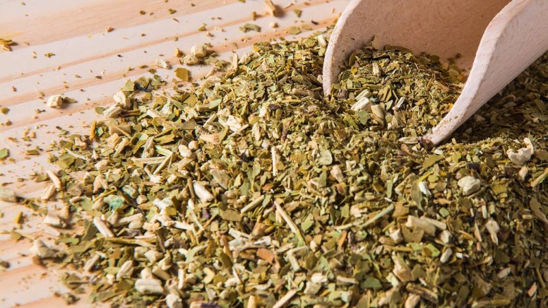Yerba mate expande horizontes globales con foco en EE.UU.