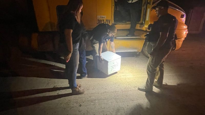 Narco-camión cae en el Chaco con 17 kilos de cocaína